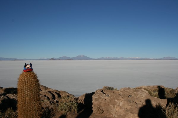 Atacama and Salt Plains 096