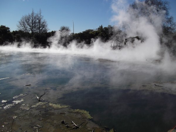 thermal park in Rotorua