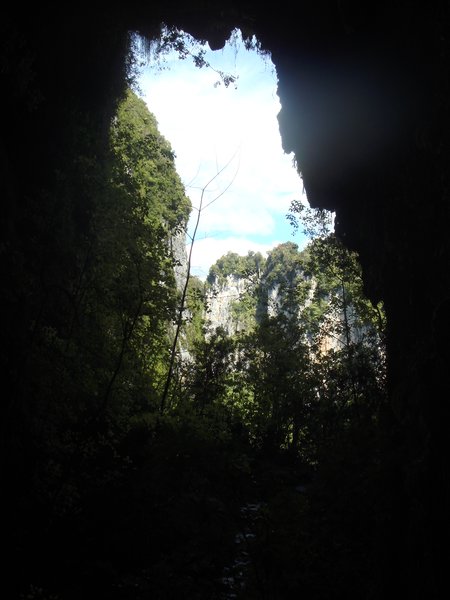 from inside fox cave