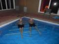 The boys in the pool at night