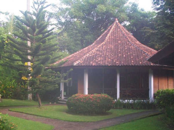 Lizard shack in Sengiggi, Lombok