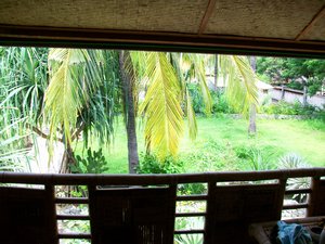 View from our rustic beach bungalow