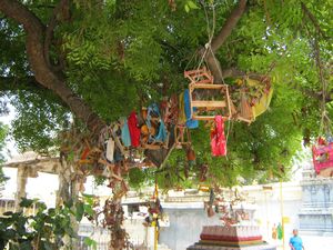 Prayer tree in temple