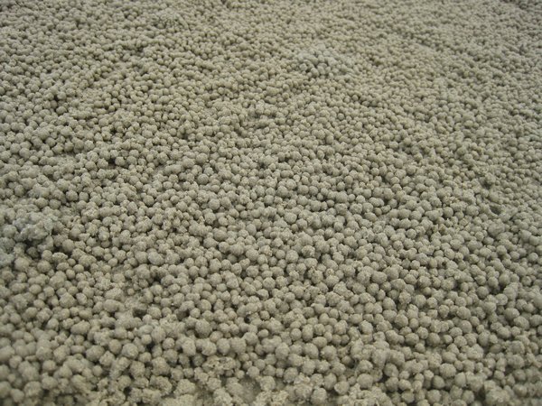 So many little balls of sand