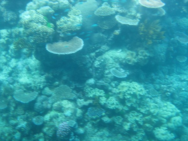 View from the submersible boat