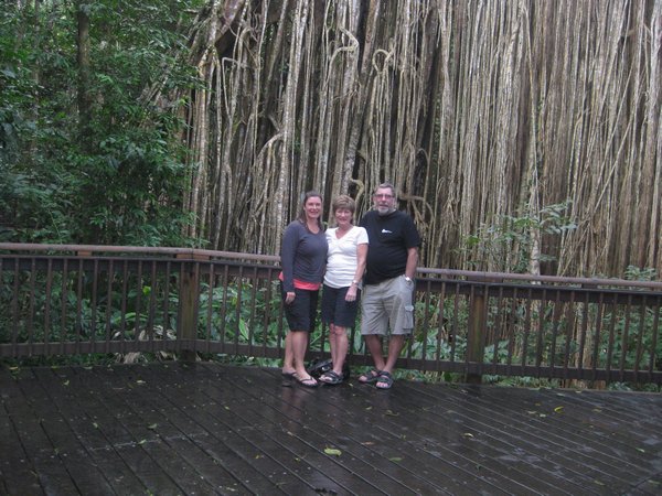 Me, mum and dad and curtain fig tree