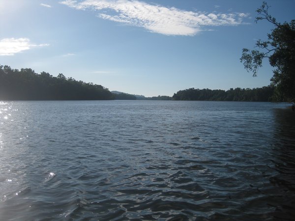 Daintree River