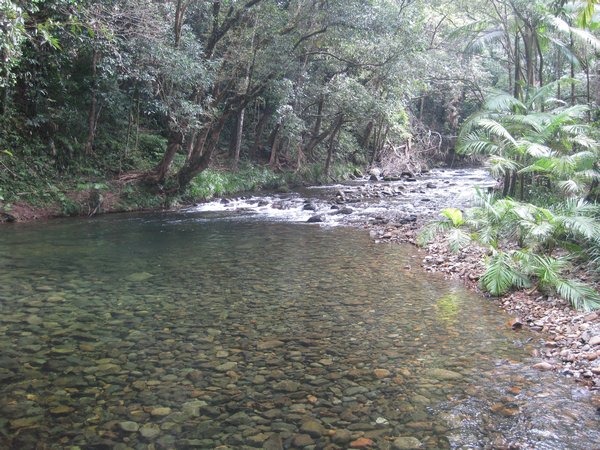 The swimming hole