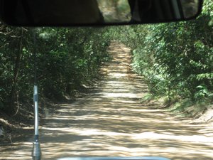 Dirt road from Cape Tribulation to Cooktown