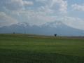 Snow Capped Mountains