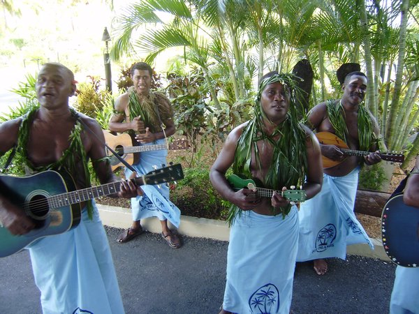 Fijian musicians