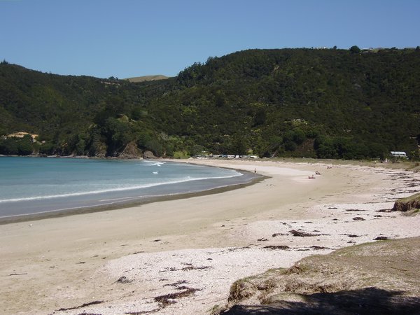 Beach in the Bay of Islands