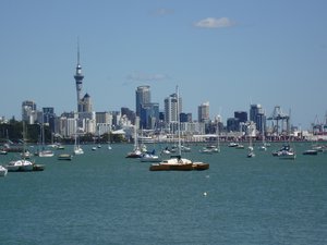 Auckland skyline from the Aquarium