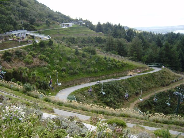 Luge track in Rotorua