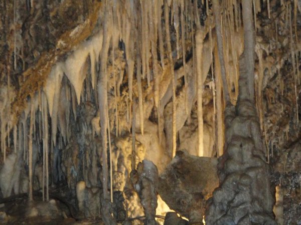 Mole Creek Caves 2