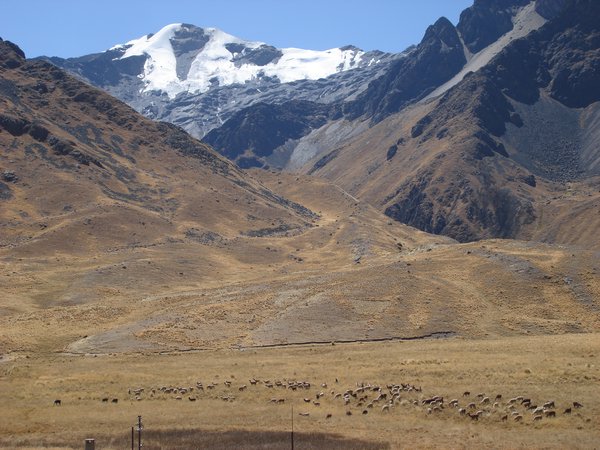 2. Scenery from Cusco to Puno