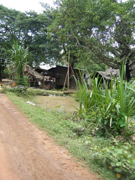Typical house in Thnol Trong Village