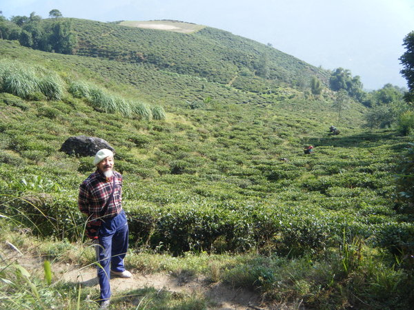 Pratap and the tea garden