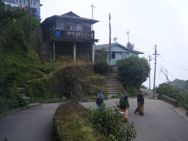 Houses on the way from Lebong to Darjeeling