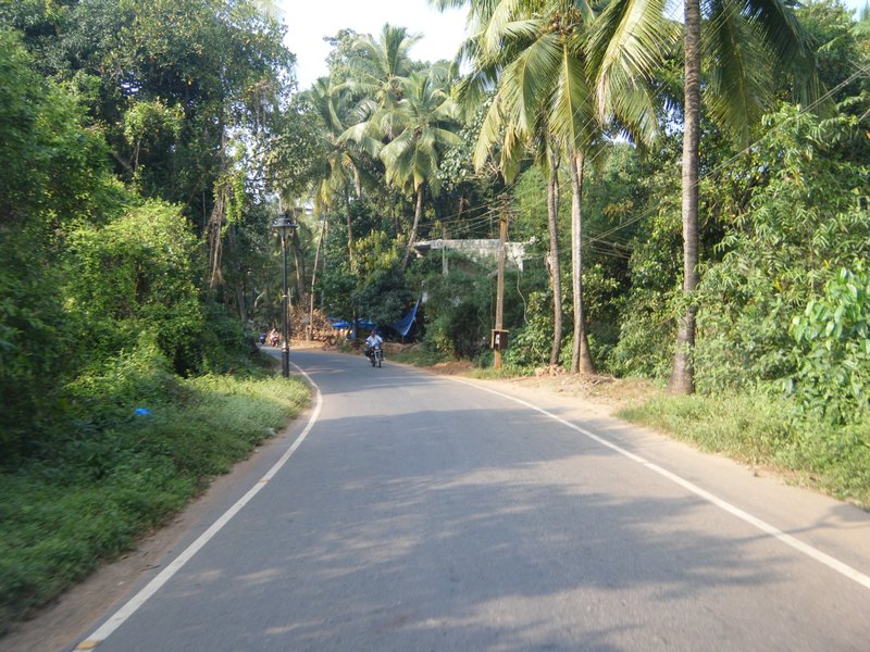 Main road from Cavelossim