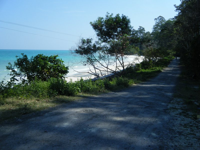 Coast road in Havelock