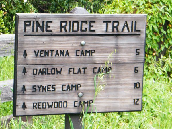 Pine Ridge trail!