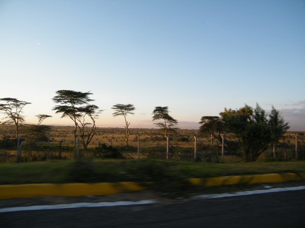 10-African plains, just outside the airport