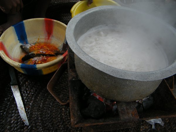 7-Rice cooking, fish marinating