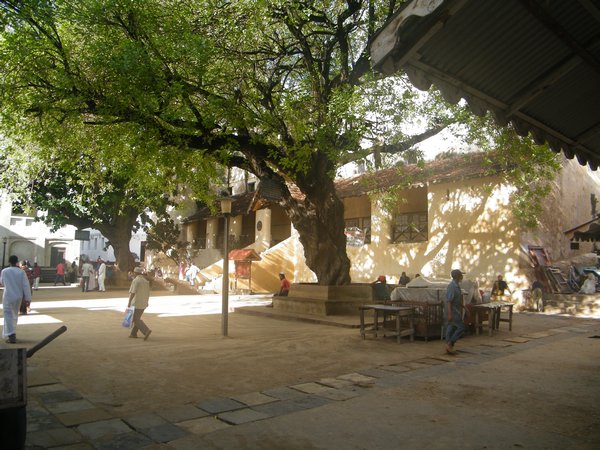 5-Lamu plaza