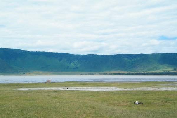 39-The Ngorongoro Crater