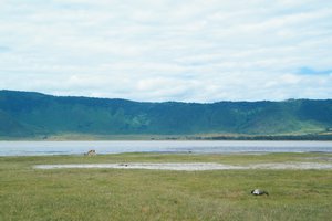 39-The Ngorongoro Crater