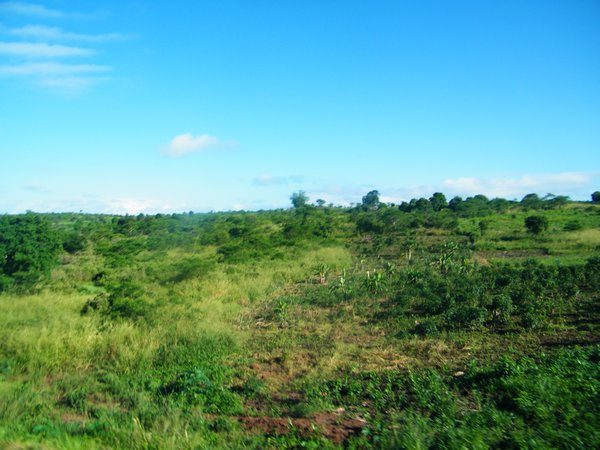 3-Tanzanian version of countryside