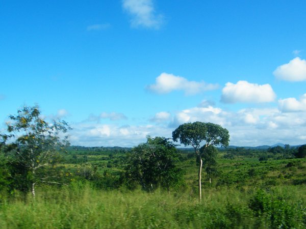 4-Tanzania