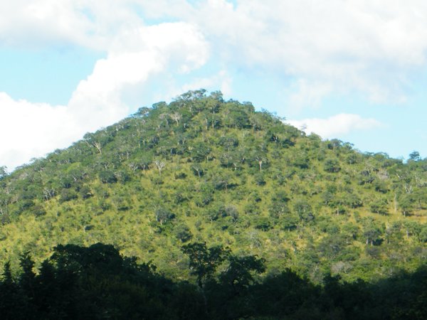 24-Tanzania