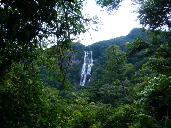 63-View of Sanje Falls