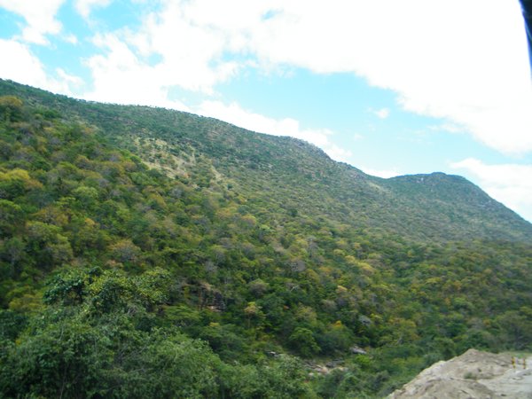 6-In the Baobab Valley