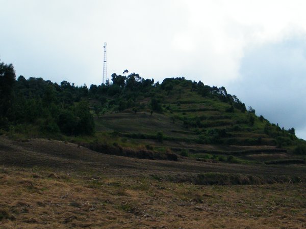 12-Tanzanian hillside crops