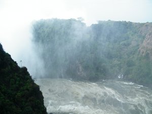 65-The Zambezi below Vic Falls