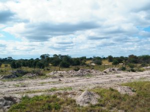 5-More Botswanan landscape