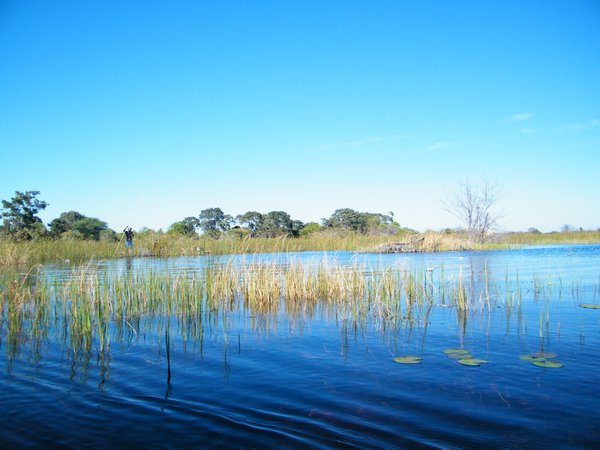 11-The Okavango Delta