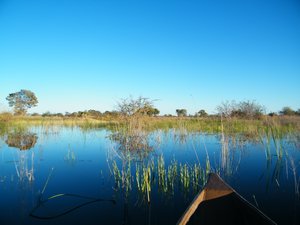 41-The Okavango Delta