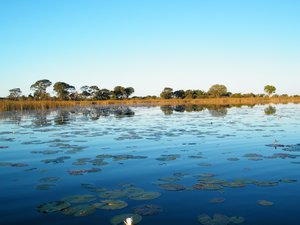 52-The Okavango Delta