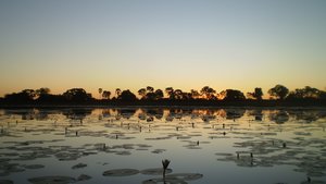 60-The Okavango Delta