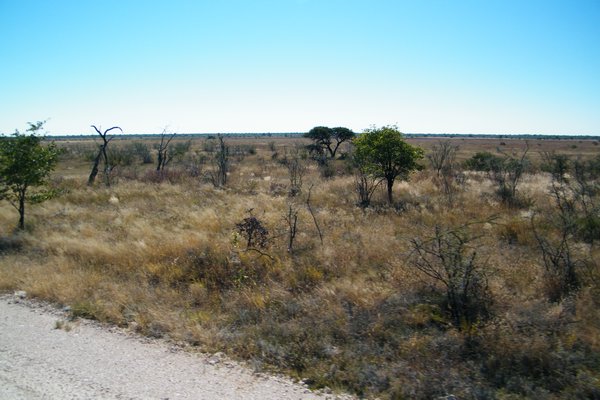 21-Etosha National Park