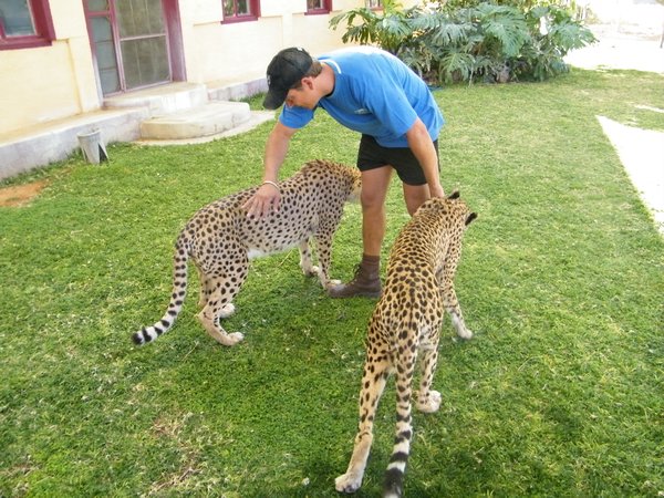 13-Marco and his two cheetahs
