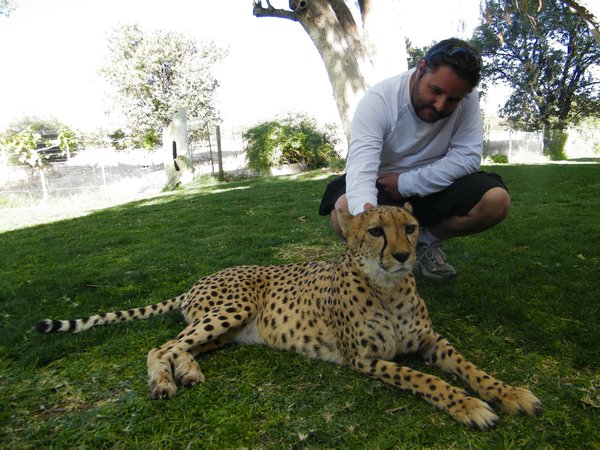 21-Showin the cheetah some love