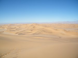 19-Dune after duner foreeever