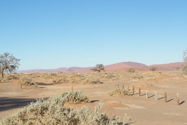 17-In the Namib-Naukluft National Park, near Sossusvlei
