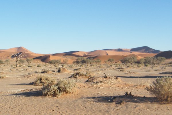 18-In the Namib-Naukluft National Park, near Sossusvlei