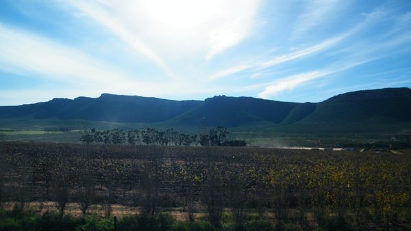 6-Wine farms and mountains in South Africa